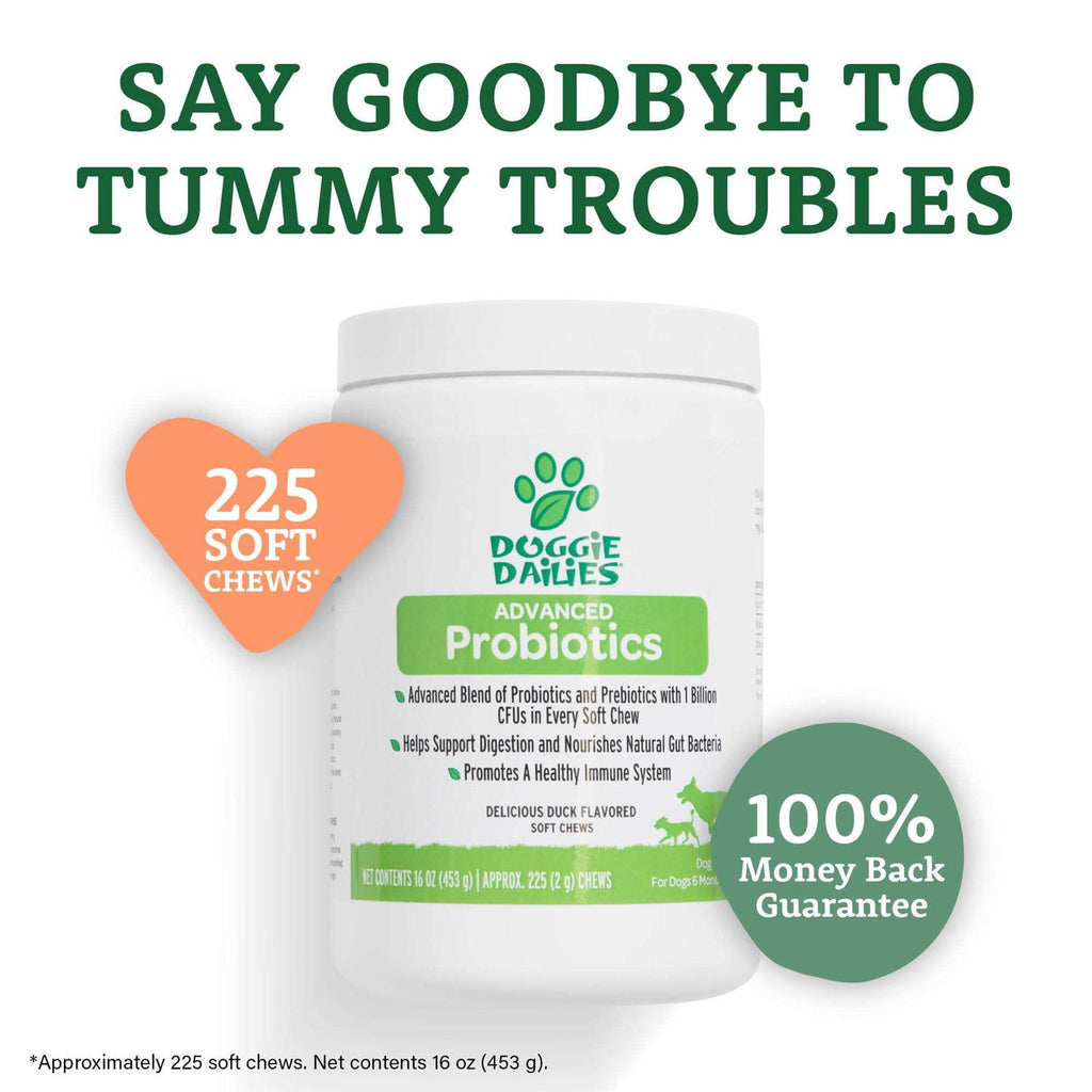 Probiotics for Dogs with Prebiotics O7849