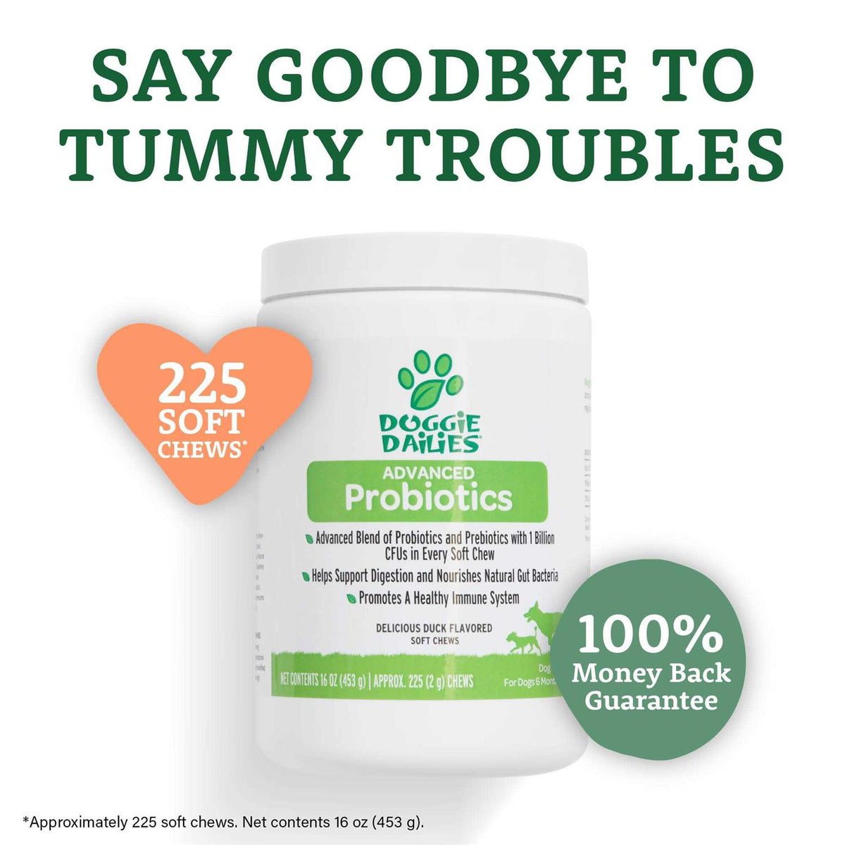 Probiotics for Dogs with Prebiotics O7849