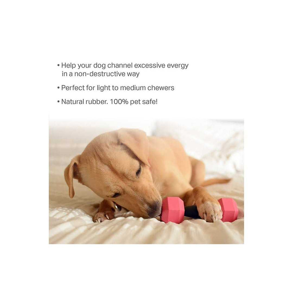 Dumbbell Rubber Chew Dog Toys 2-piece Set T434935