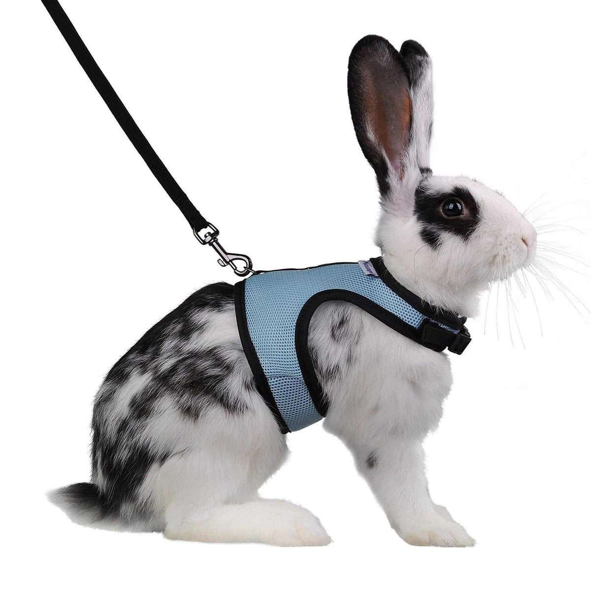 Adjustable Soft Harness with Elastic Leash for Rabbits K45824