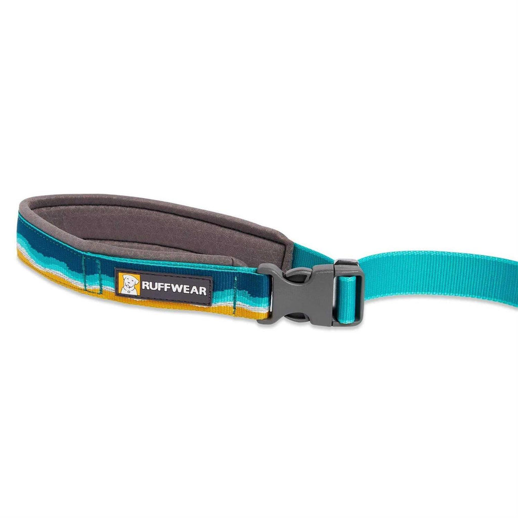 Leash I165
