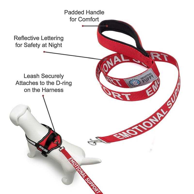 Reflective Dog Vest Harness and Leash Set Y66935