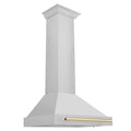 30 Inch Stainless Steel Range Hood with Gold Handle D8857