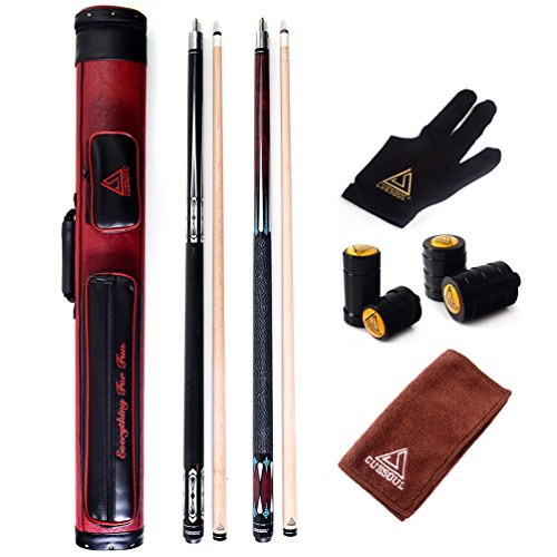 Pool Cue Sticks with Case J5793
