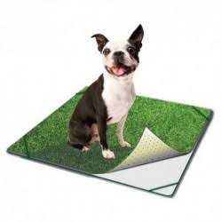 Indoor Turf Dog Potty W729