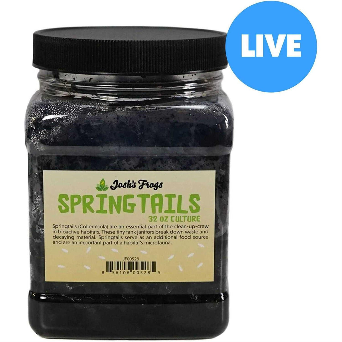 Springtail Culture I984673