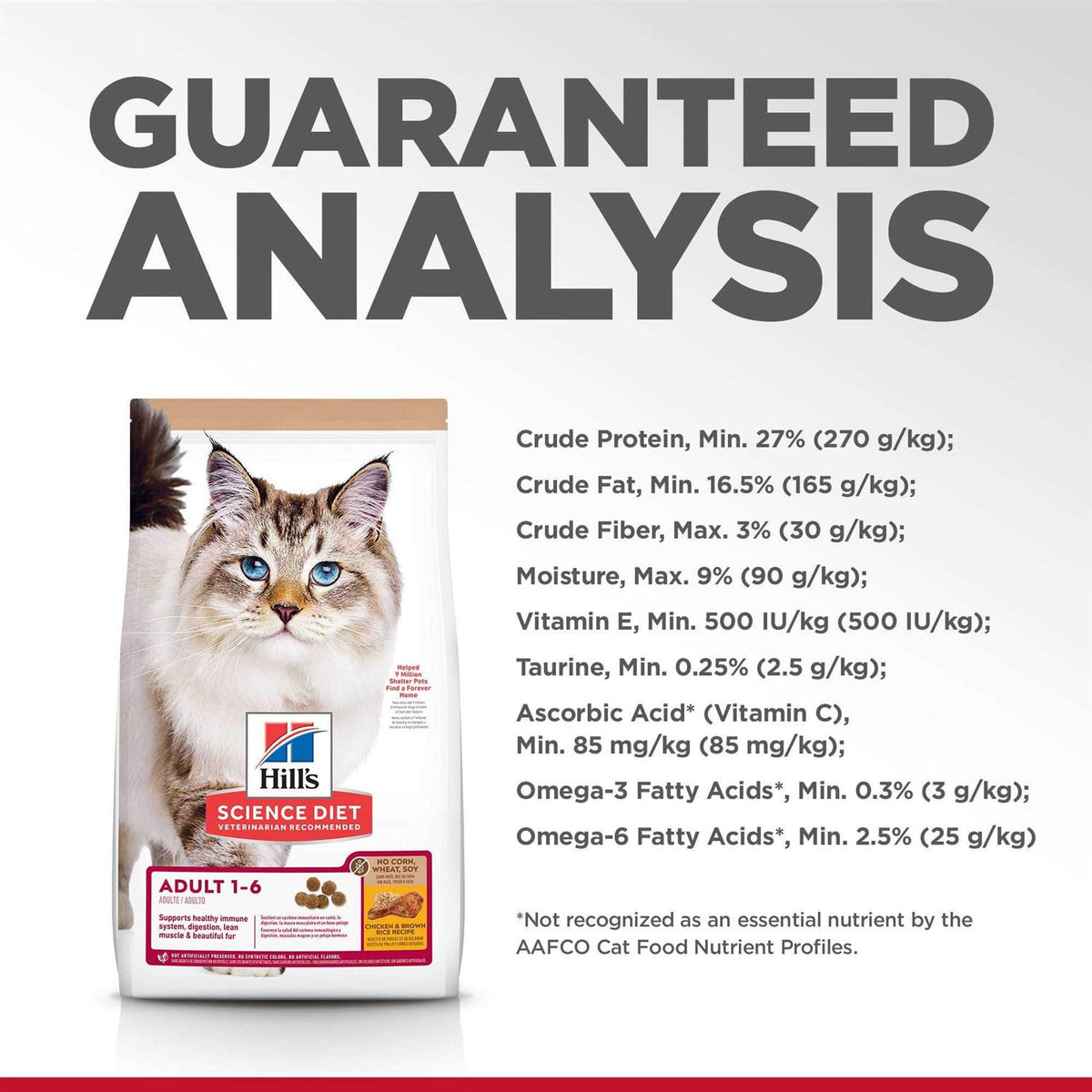Chicken Dry Cat Food L209252