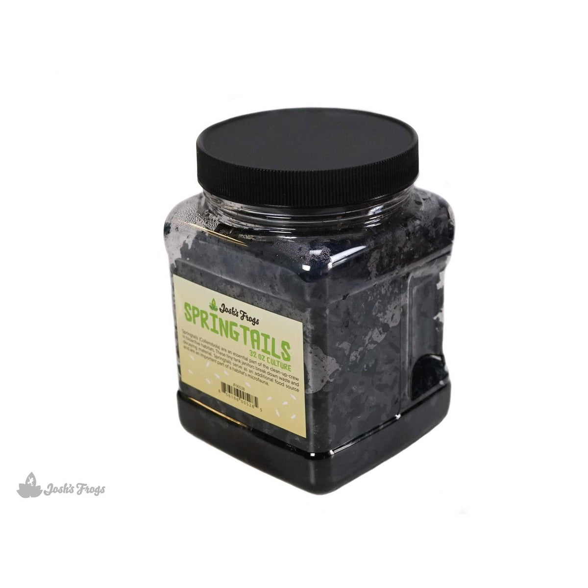Springtail Culture I984673
