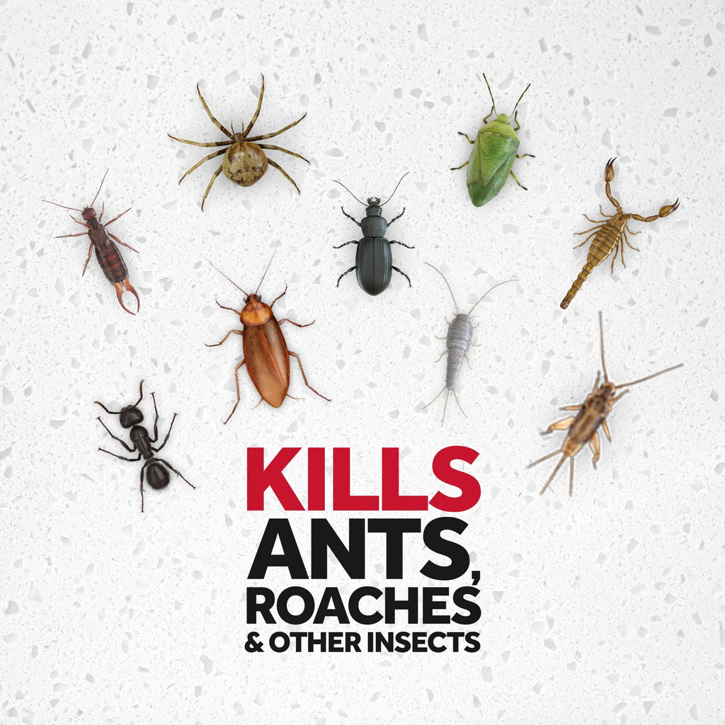 Ant & Roach Killer Outdoor Fresh Scent 17.5 oz 2 ct H20256