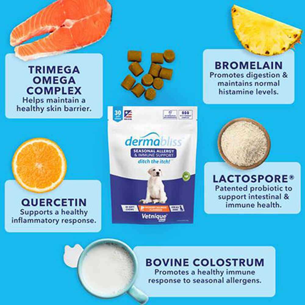 Allergy & Immune Soft Chews for Dogs P628638