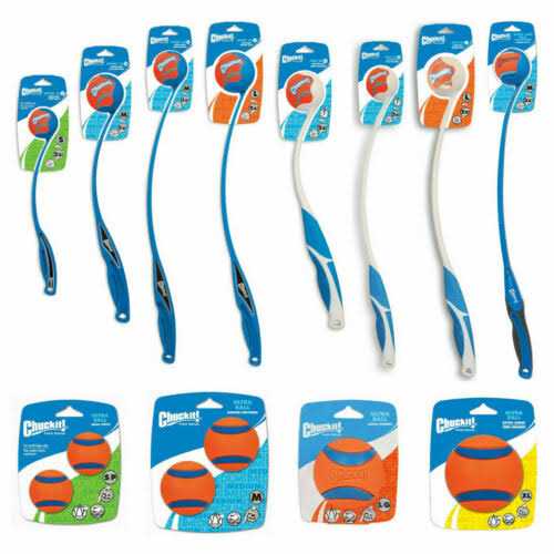 Sport Ball Launcher Y52747