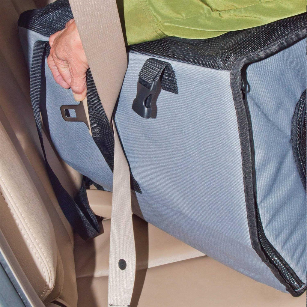 Pet Travel Safety Carrier B62750