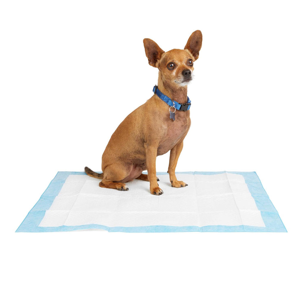 Potty Pads E460