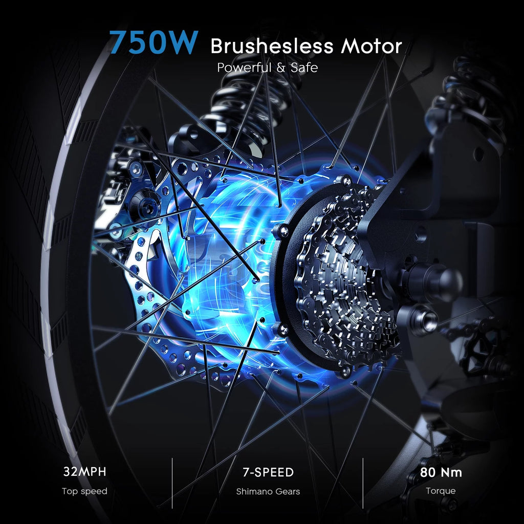 20 x 4 Fat Tire 750W Electric Bike R533