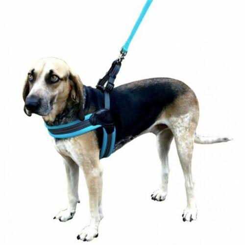Nylon Mesh Dog Harness G966216