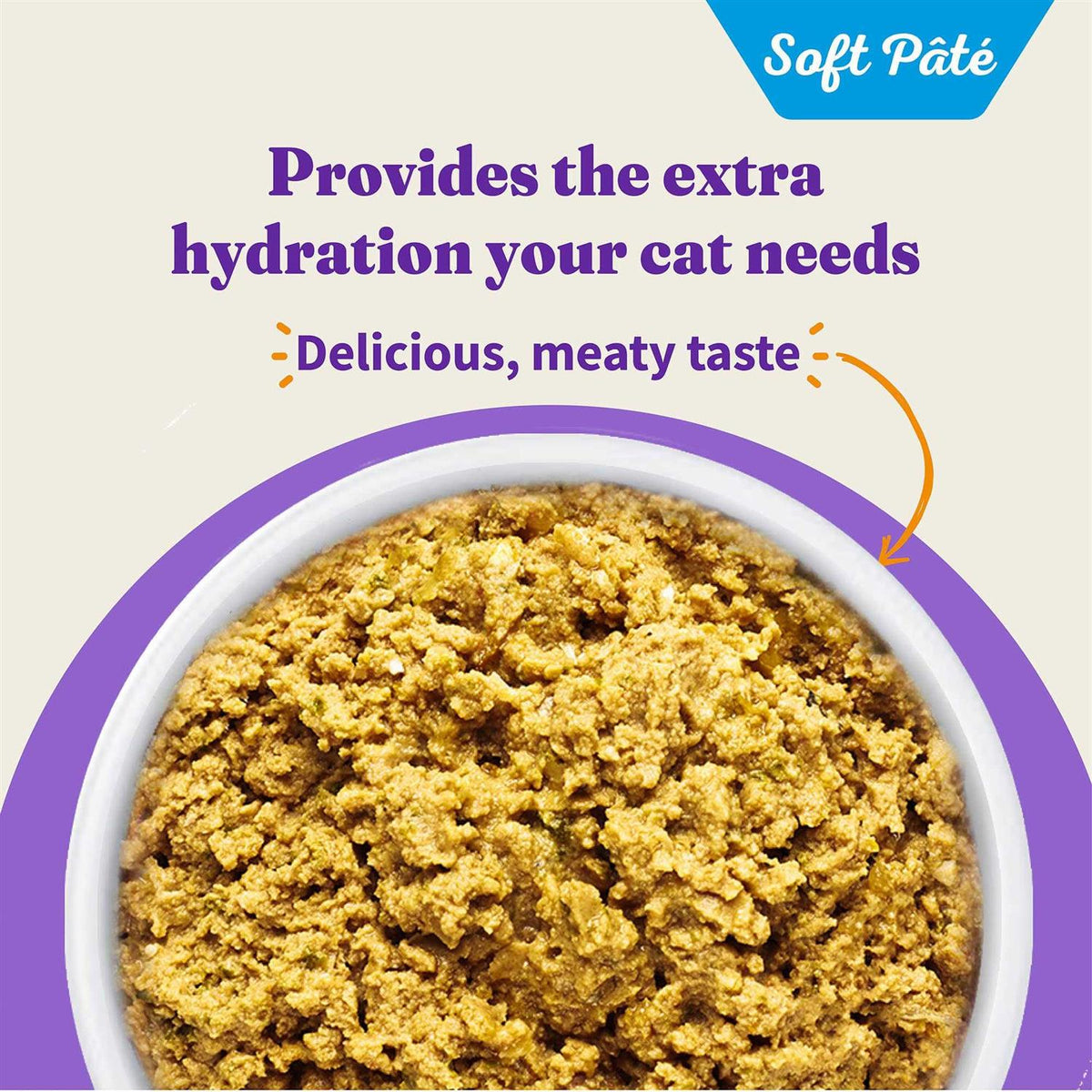 Grain Free Salmon Stew Cat Food Q166982