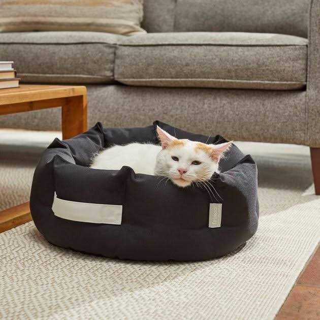 Indoor/Outdoor Bolster Cat & Dog Bed S25661