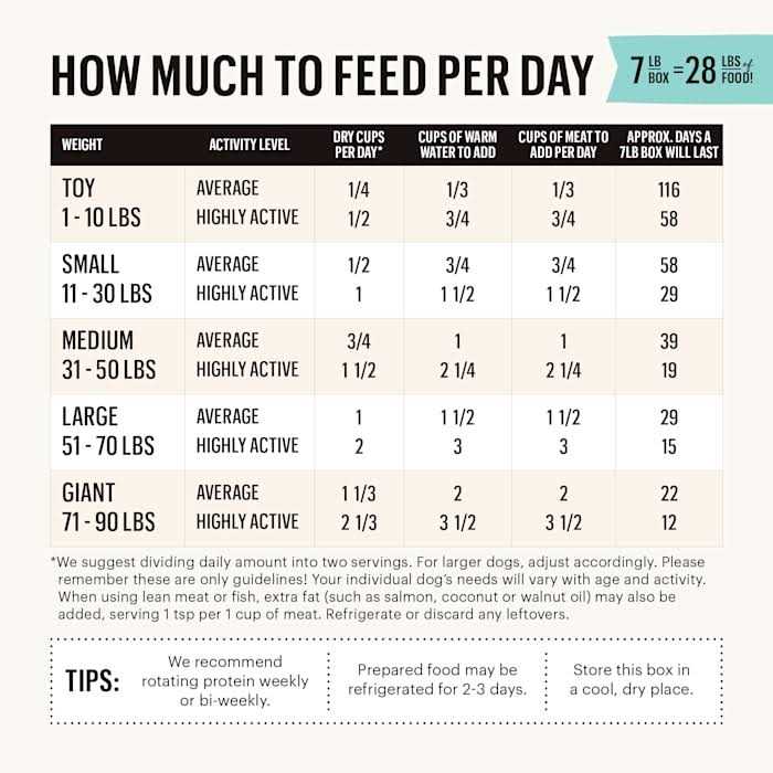 Grain-Free Dehydrated Dog Food Y834