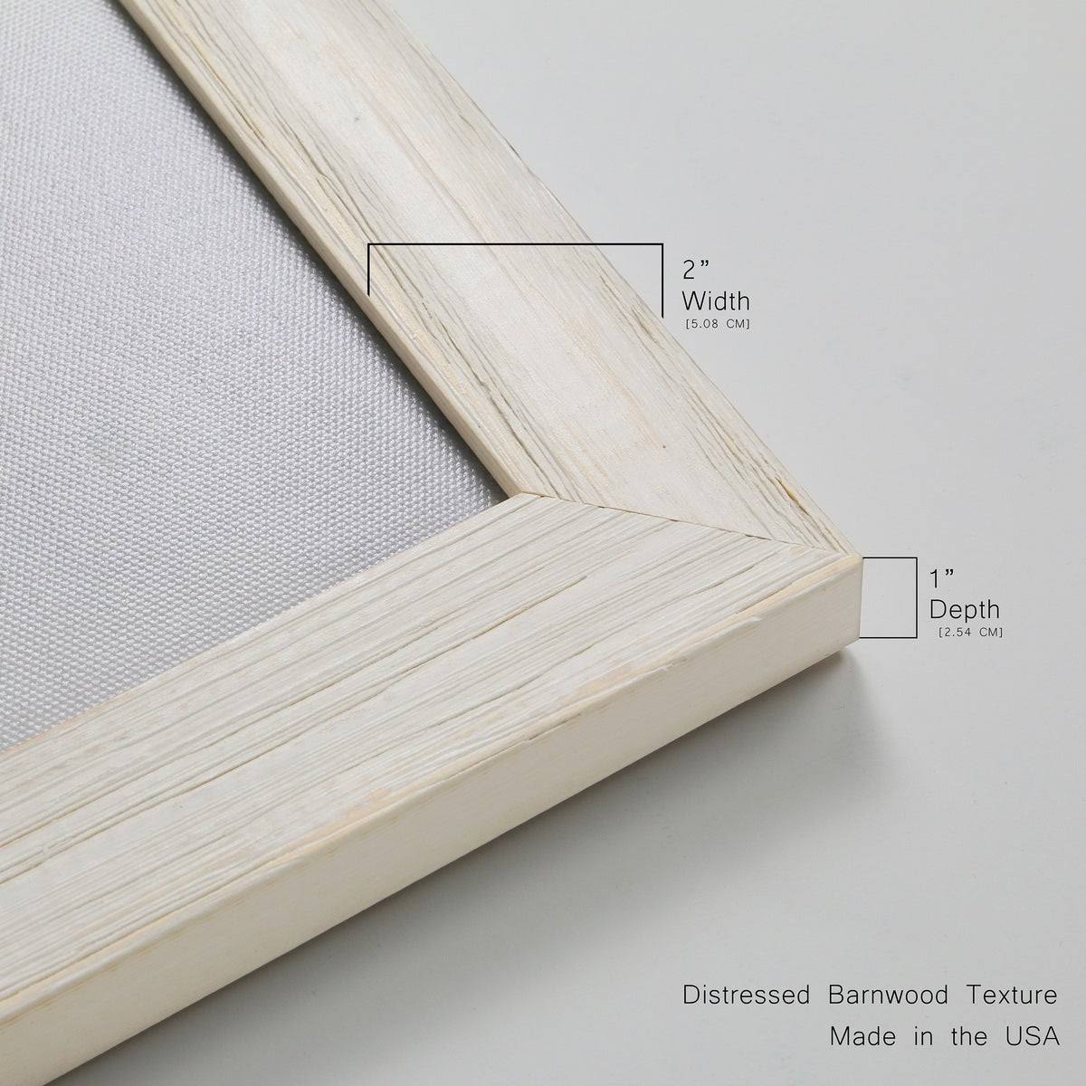 Framed Canvas O726