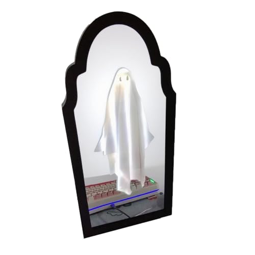 Holographic Ghost Mirror 3D Wall Decor D5217