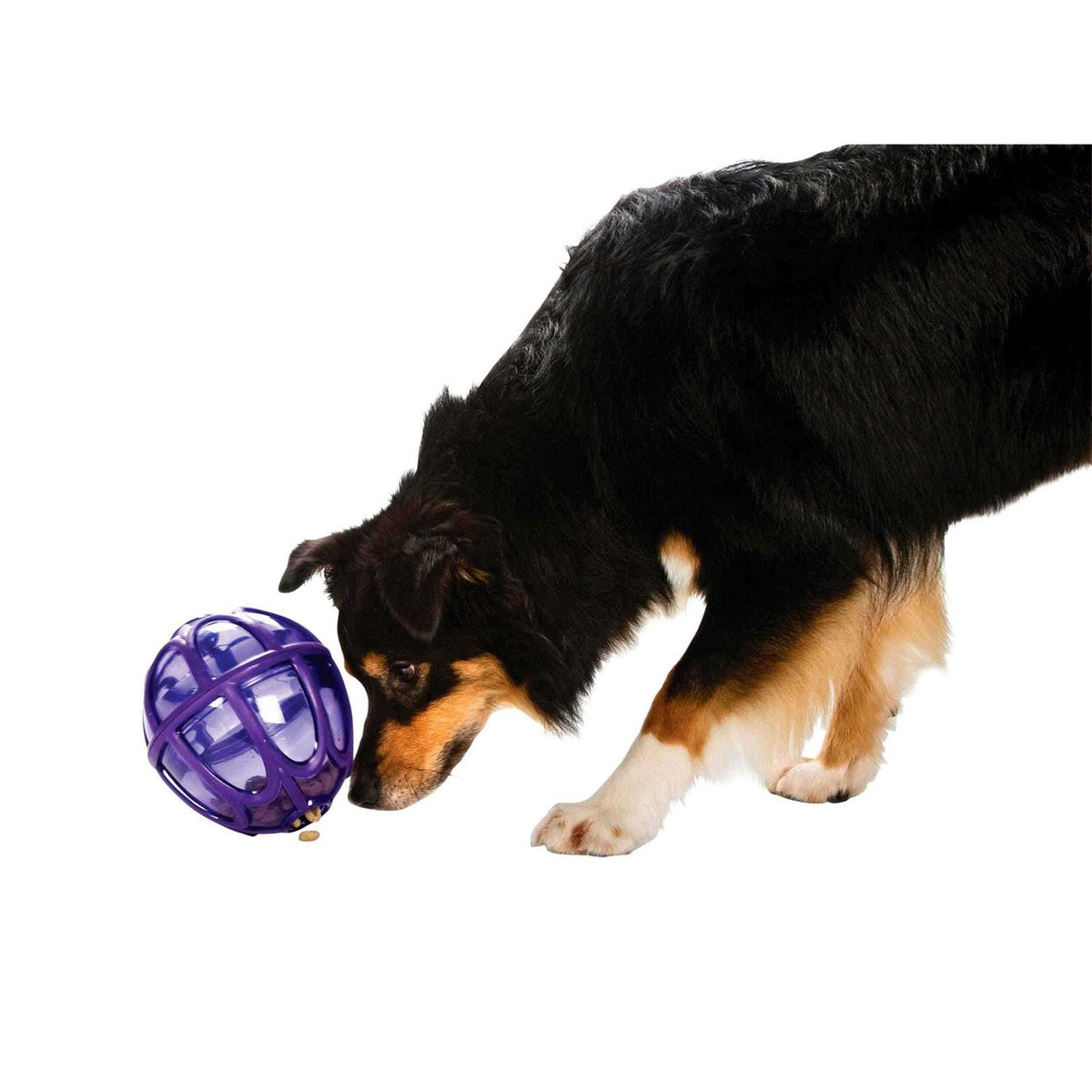 Kibble Nibble Dog Toy E653