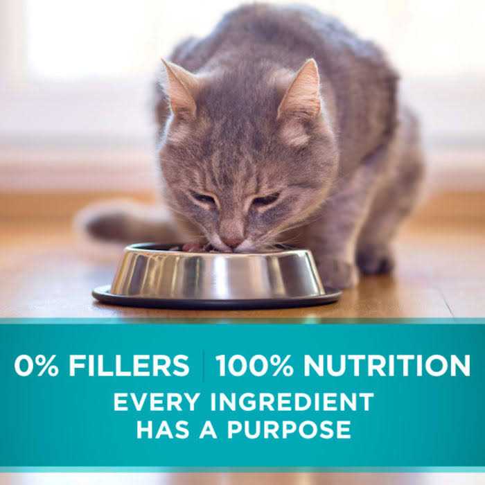 Indoor Advantage Natural Cat Food Ocean Whitefish & Rice D399
