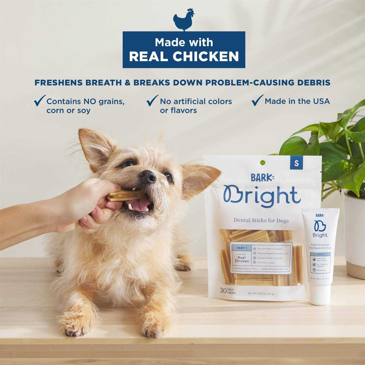 Dental Kit for Dogs U496