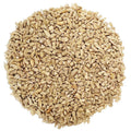 Sunflower Chips I24457