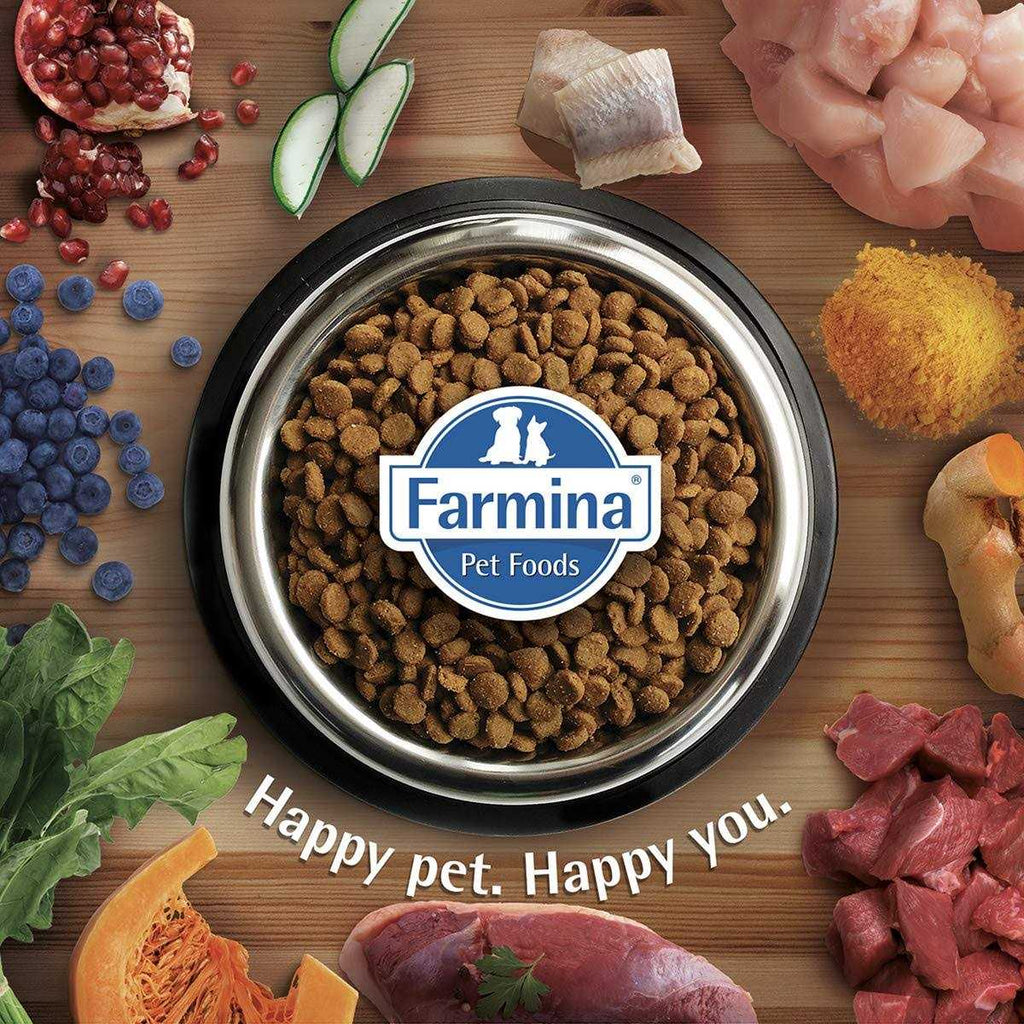 Quinoa Dog Food L318
