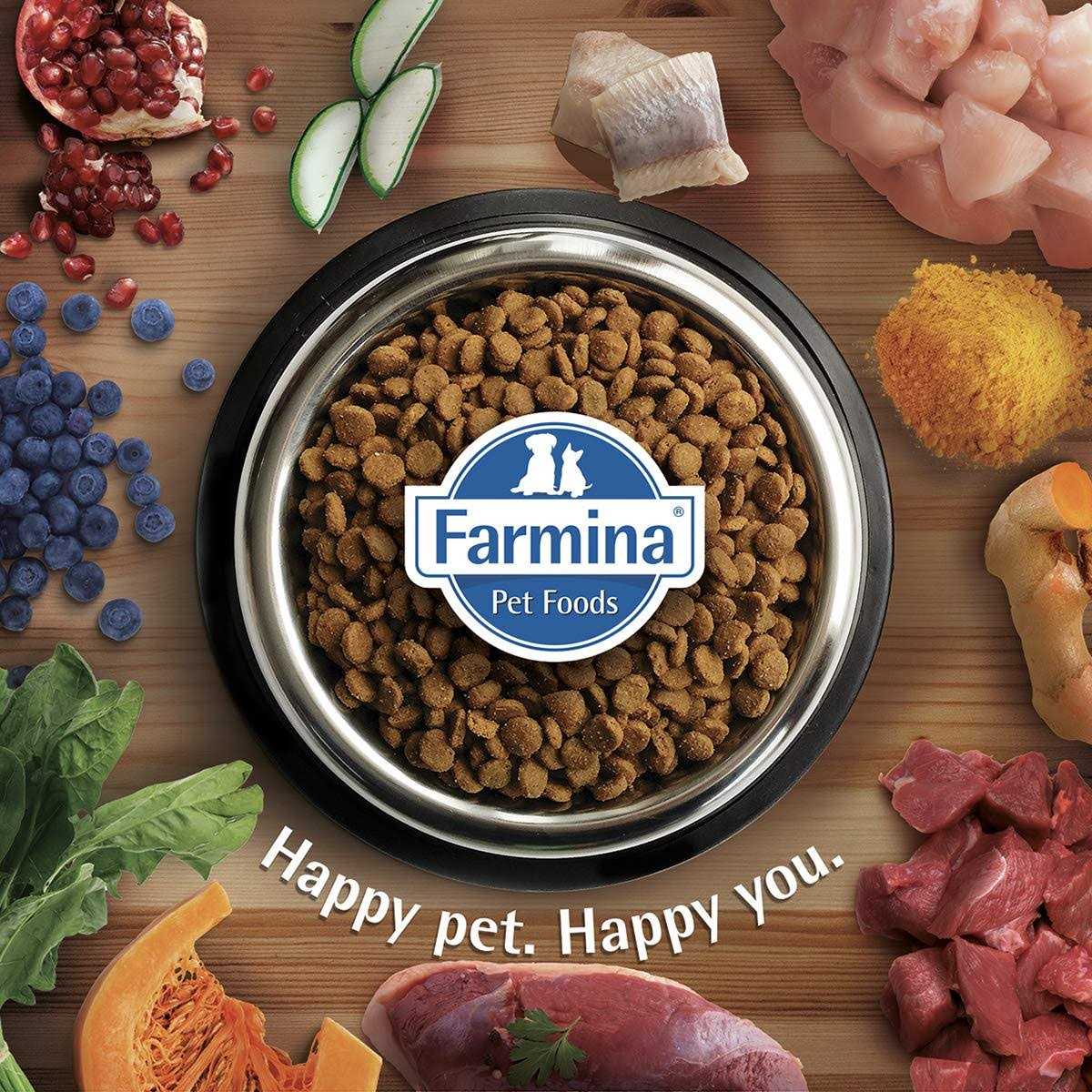 Quinoa Dog Food L318
