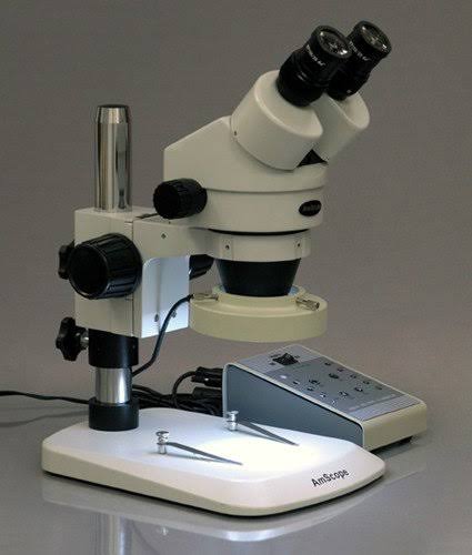 Binocular Stereo Zoom Microscope B564