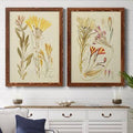 Antique Botanical Sketch IV Framed Print L852798
