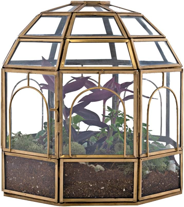 Large Glass Terrarium 10 x 9 x 9 Black P164344