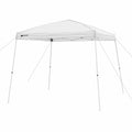 10 x 10 Slant Leg Instant Canopy White W117778