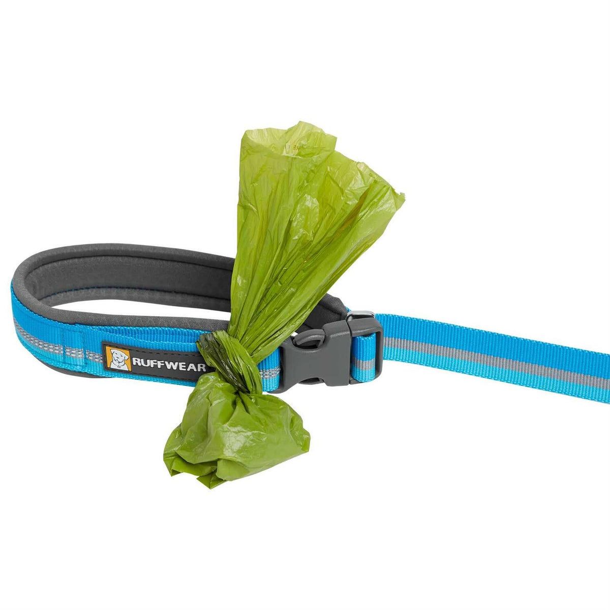 Leash I165