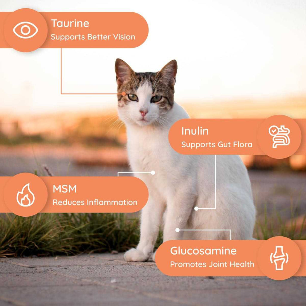 Cat Electrolyte and Joint Supplement M11583
