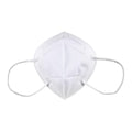 KN95 Masks 2 Pack White Y42687