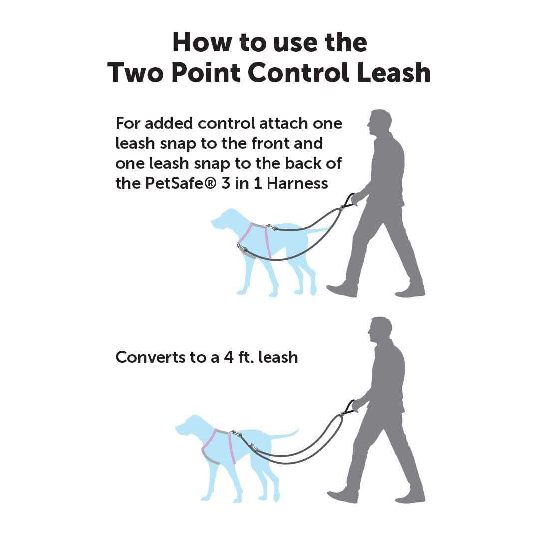 Two Point Control Dog Leash U3856