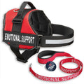 Reflective Dog Vest Harness and Leash Set Y66935