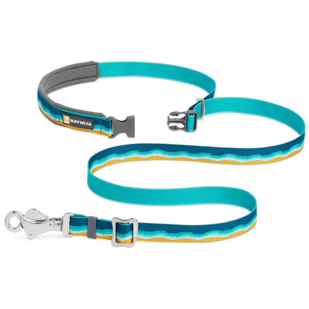 Leash I165