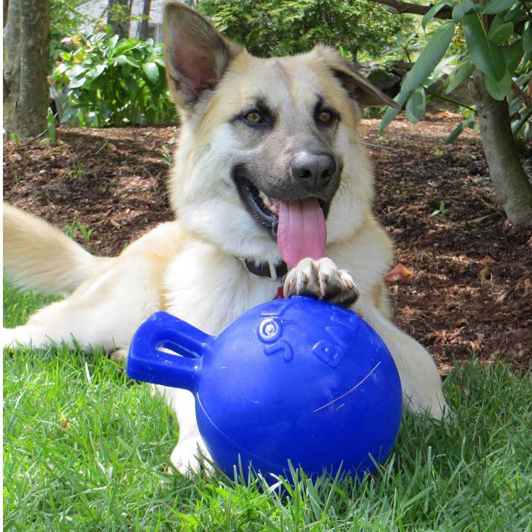 Tug N Toss Ball B842