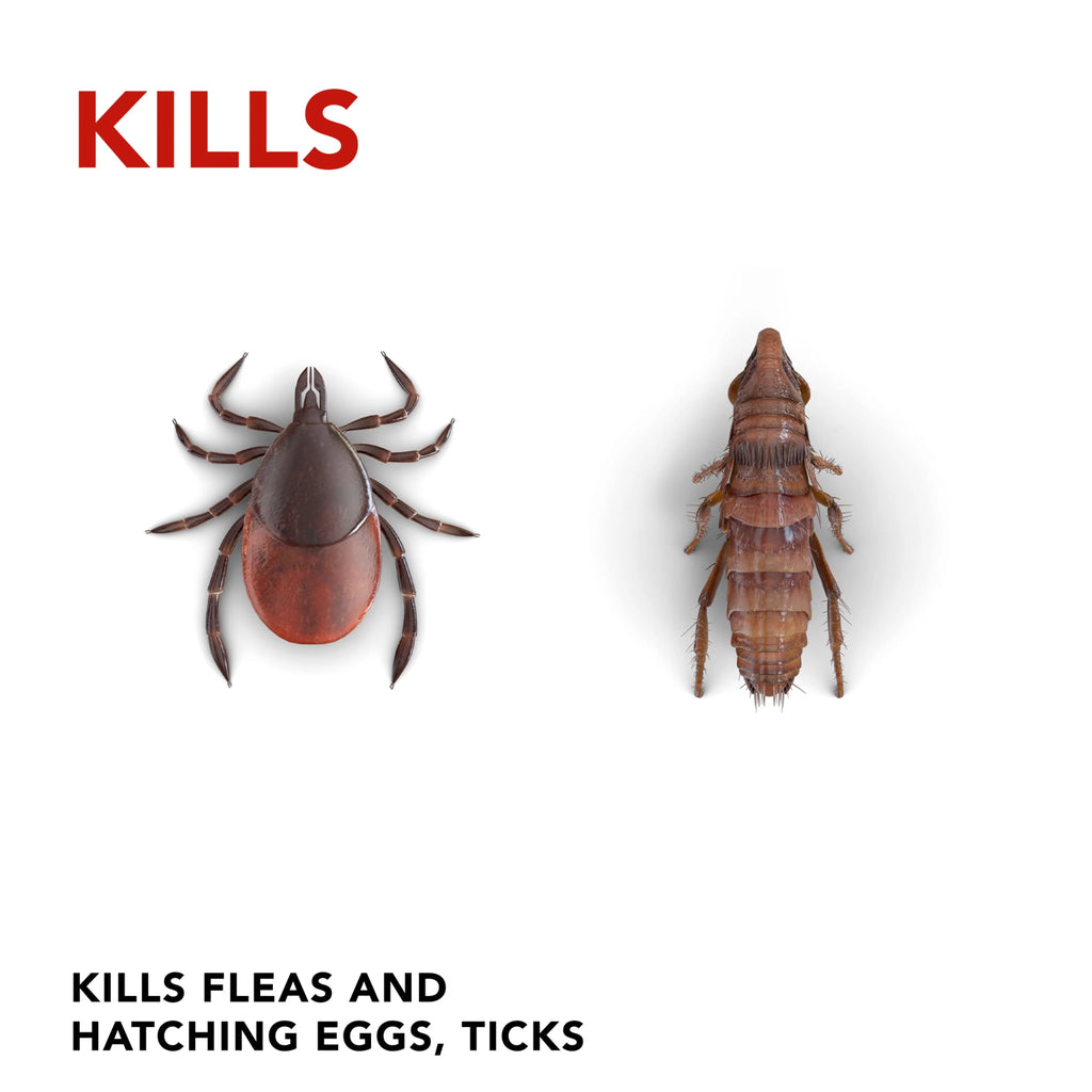 Flea Killer Carpet & Room Spray 16 oz H66110