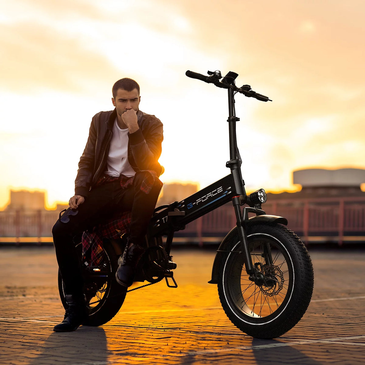20 x 4 Fat Tire 750W Electric Bike R533