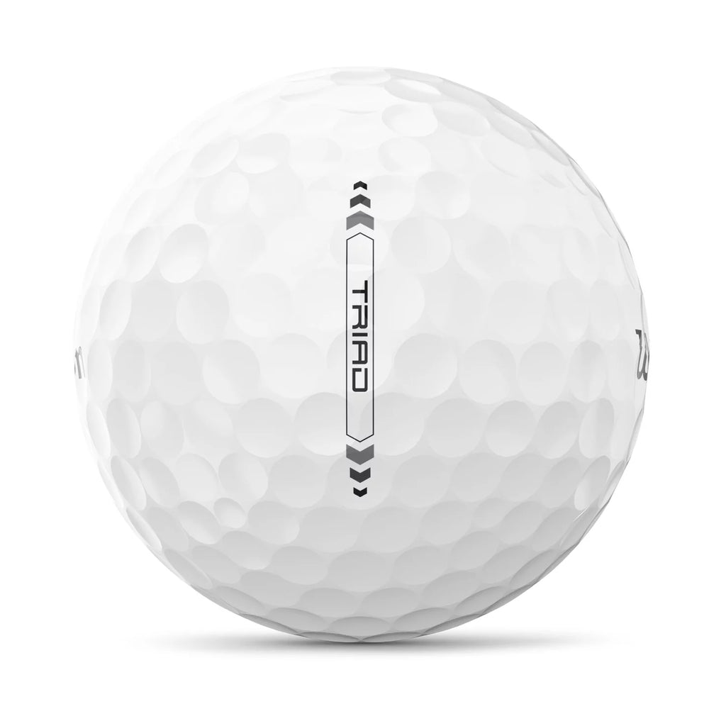 White 12-Pack Golf Balls I345057