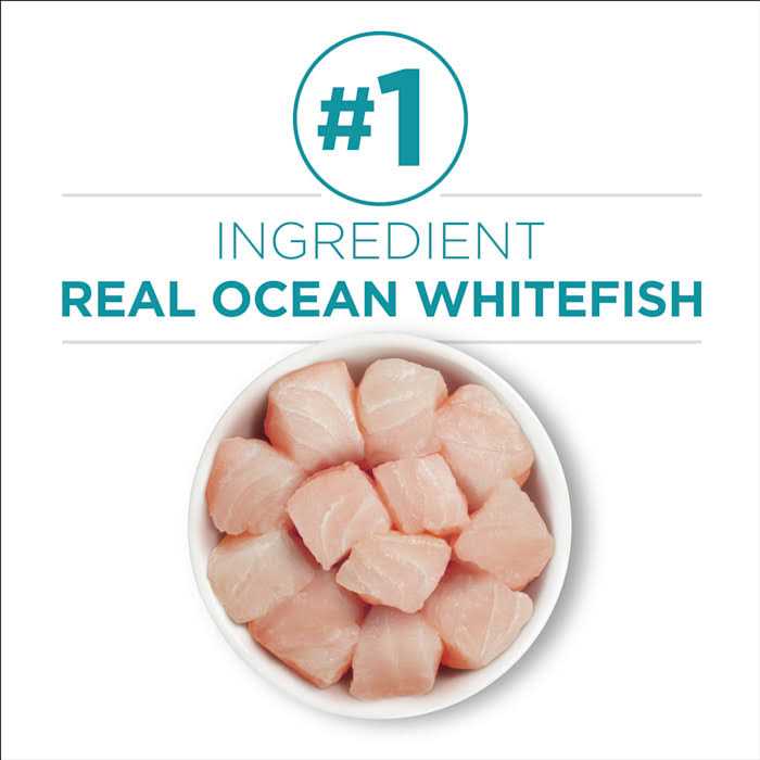 Indoor Advantage Natural Cat Food Ocean Whitefish & Rice D399