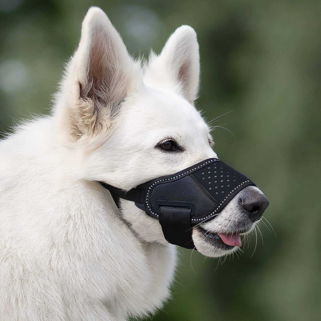 Dog Muzzle W2083