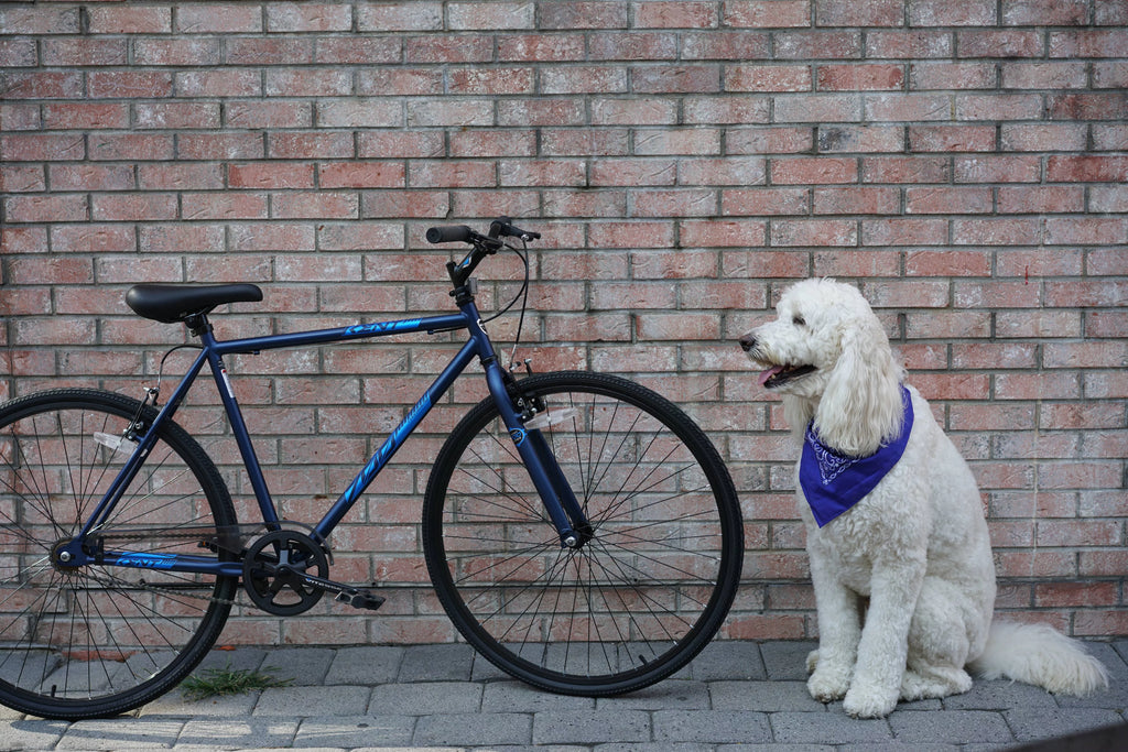 Blue 700c Bike D8428