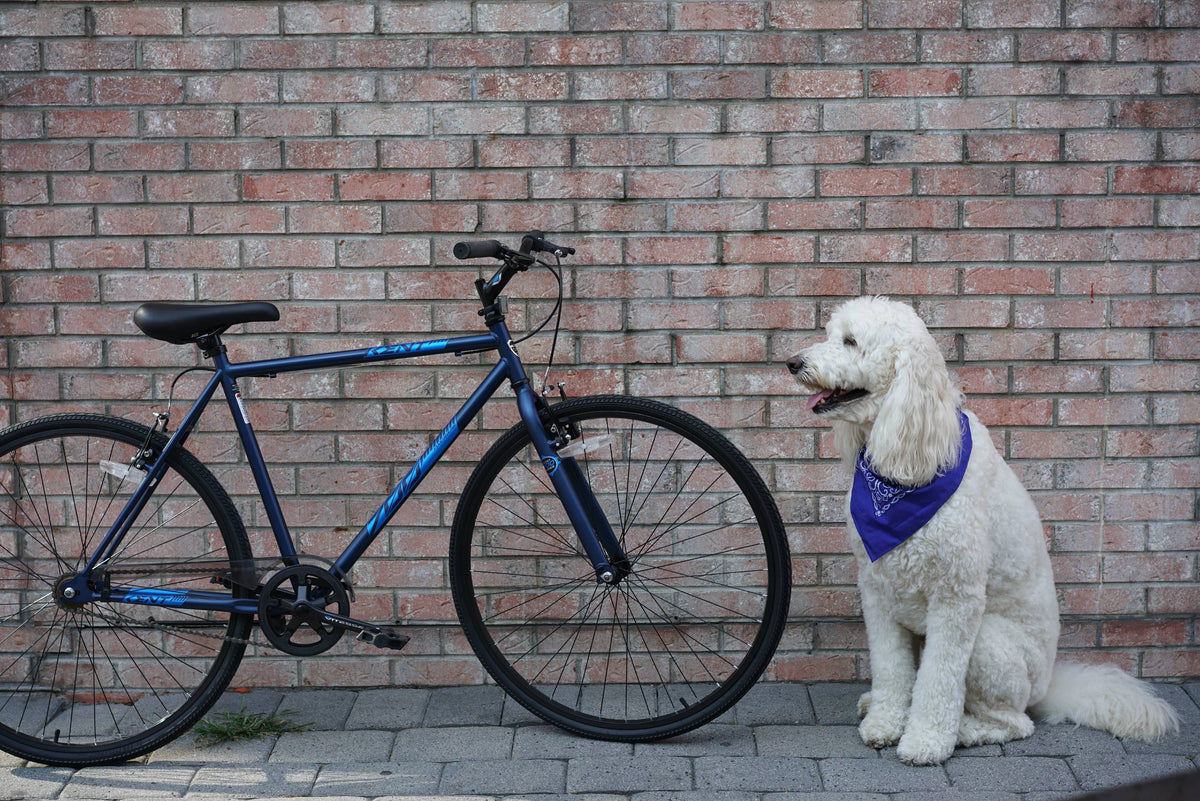 Blue 700c Bike D8428