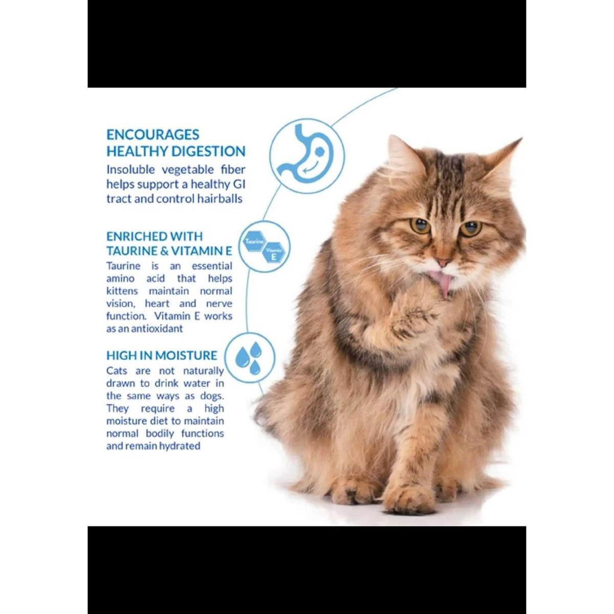 Chicken Cat Treat A8198