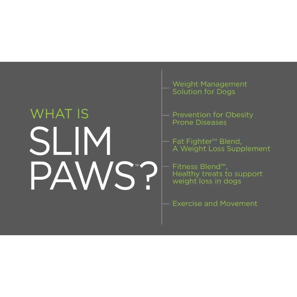 Weight Loss Soft Chews for Dogs 60 ct V582